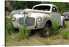 “Junked Cars” is a captivating artwork that captures the enigmatic beauty of vintage automobiles at rest, their once vibrant journeys now silent, enveloped by nature. The artwork features an old, abandoned car with a faded paint job and rusting exterior. The car is surrounded by overgrown grass and weeds, indicating it has been left untouched for a significant amount of time.