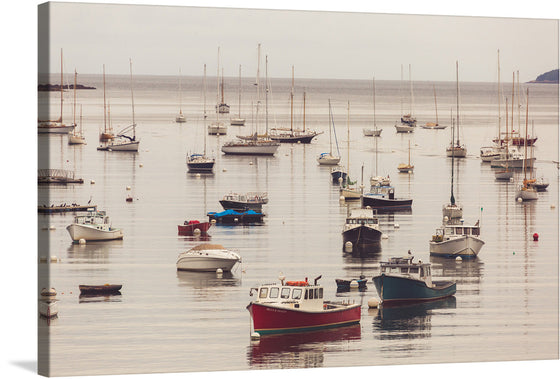 Immerse yourself in the tranquil beauty of this exquisite print. The artwork captures a serene moment at a harbor where boats of various sizes and colors float gracefully on the calm waters. The muted tones and gentle light evoke a sense of peaceful solitude, making this piece a perfect addition to any space seeking to inspire relaxation and contemplation.