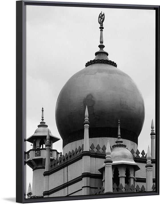 "Sultan Mosque Close-up"