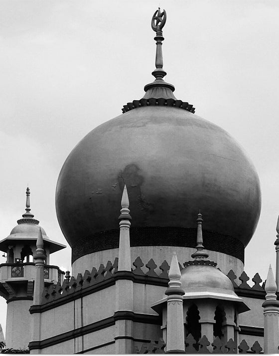 "Sultan Mosque Close-up"