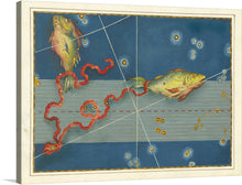  Johann Bayer was a German astronomer born in 1572 in Rain, Bavaria, Germany. He wrote the book "Uranometria" (1603) which promulgated a system of identifying all stars visible to the naked eye. This was the first atlas to cover the entire celestial sphere.