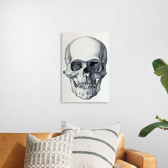 "Vintage Old Skull", Martina Stokow