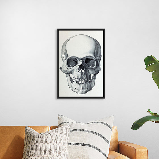 "Vintage Old Skull", Martina Stokow