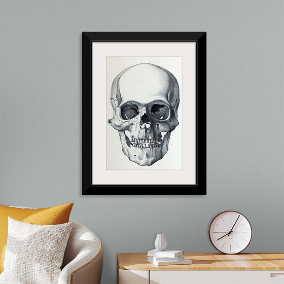 "Vintage Old Skull", Martina Stokow