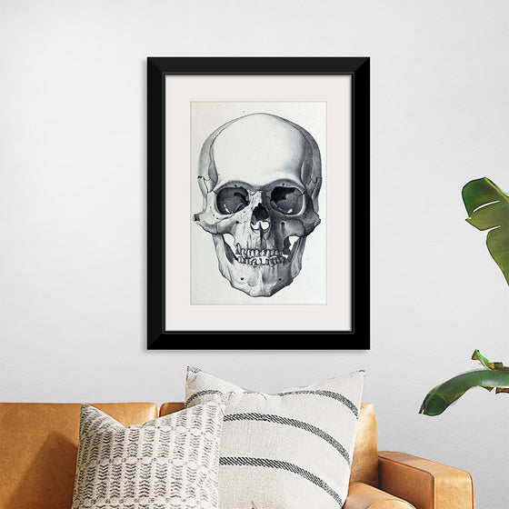 "Vintage Old Skull", Martina Stokow