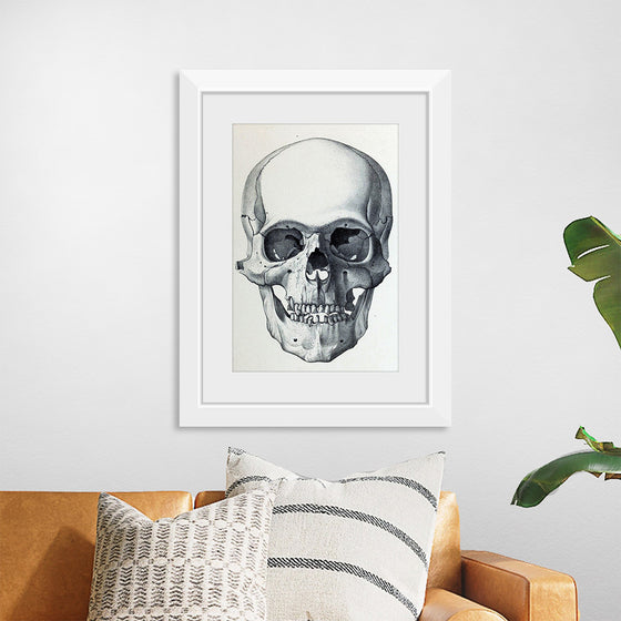 "Vintage Old Skull", Martina Stokow