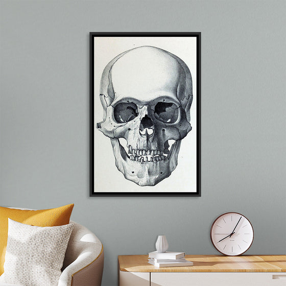 "Vintage Old Skull", Martina Stokow