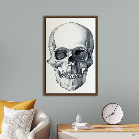 "Vintage Old Skull", Martina Stokow