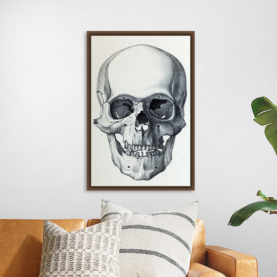 "Vintage Old Skull", Martina Stokow