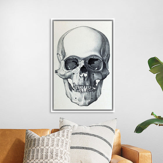 "Vintage Old Skull", Martina Stokow