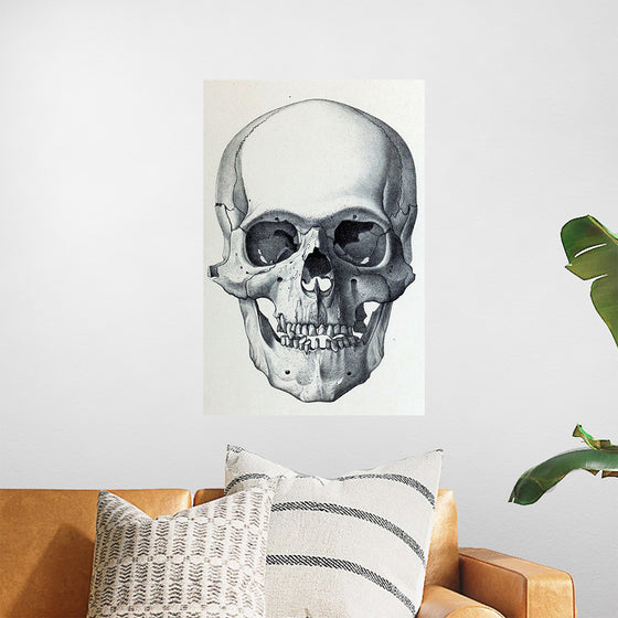 "Vintage Old Skull", Martina Stokow