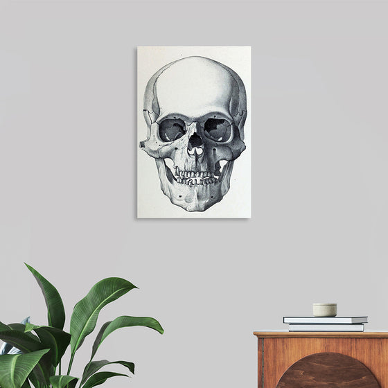 "Vintage Old Skull", Martina Stokow