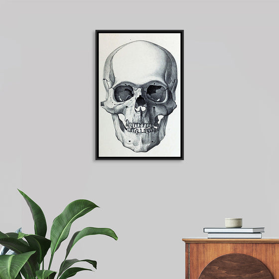 "Vintage Old Skull", Martina Stokow