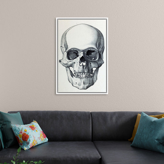 "Vintage Old Skull", Martina Stokow