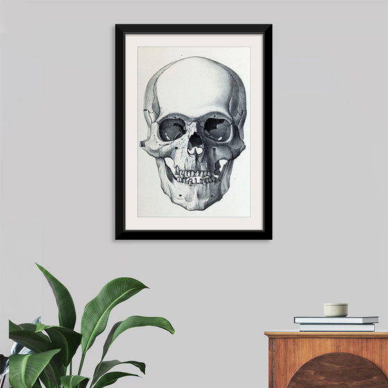 "Vintage Old Skull", Martina Stokow