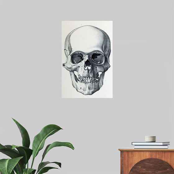 "Vintage Old Skull", Martina Stokow