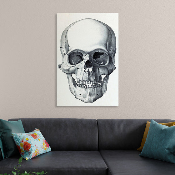 "Vintage Old Skull", Martina Stokow