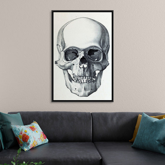 "Vintage Old Skull", Martina Stokow