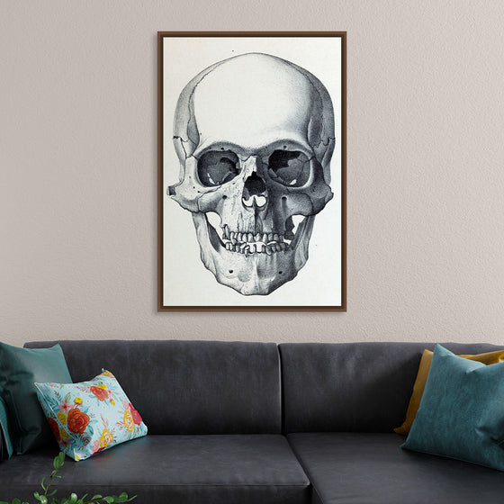 "Vintage Old Skull", Martina Stokow