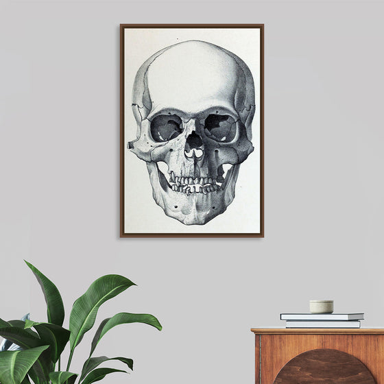 "Vintage Old Skull", Martina Stokow