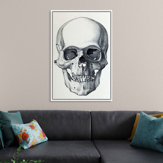 "Vintage Old Skull", Martina Stokow