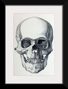 "Vintage Old Skull", Martina Stokow