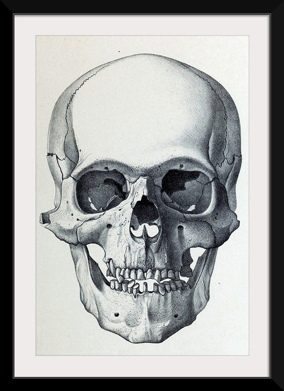 "Vintage Old Skull", Martina Stokow