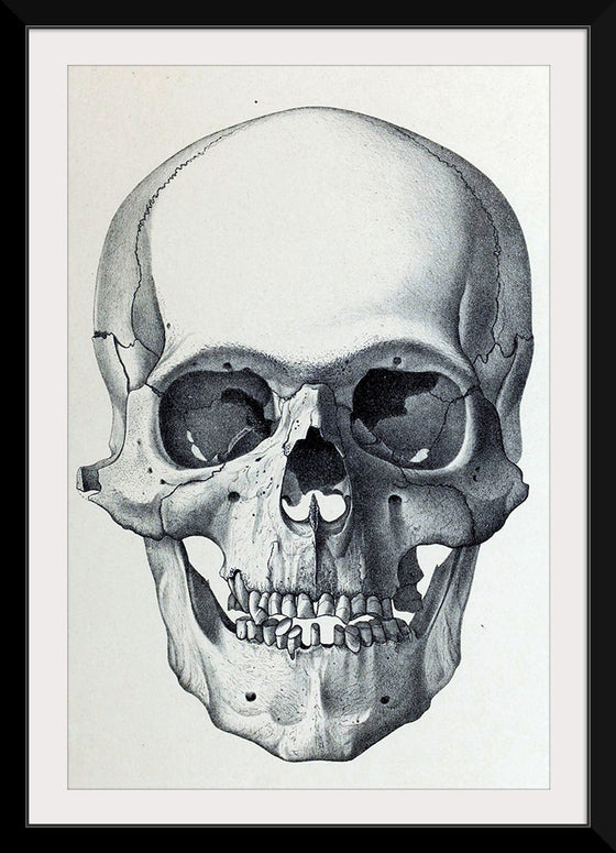 "Vintage Old Skull", Martina Stokow