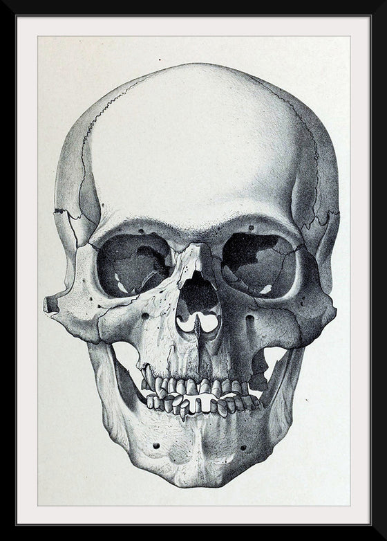 "Vintage Old Skull", Martina Stokow