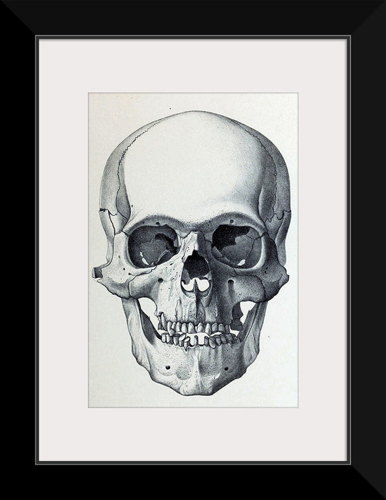 "Vintage Old Skull", Martina Stokow