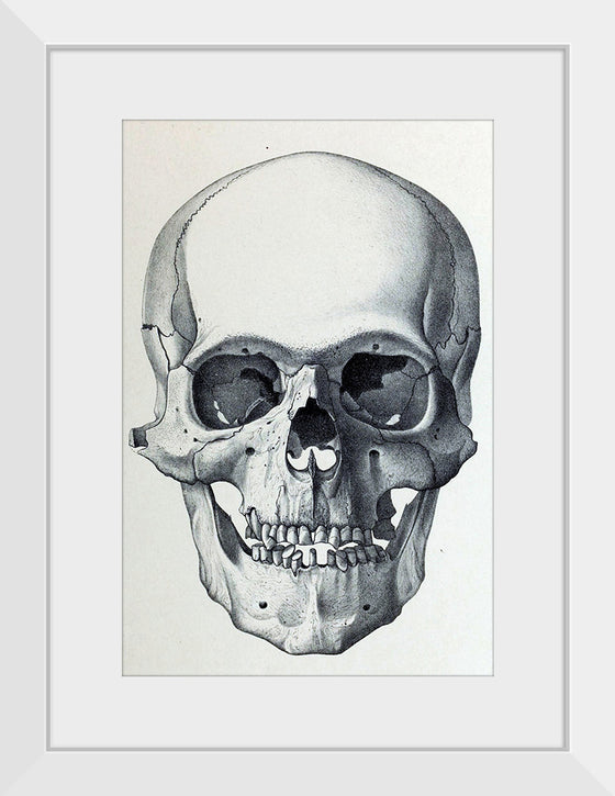 "Vintage Old Skull", Martina Stokow