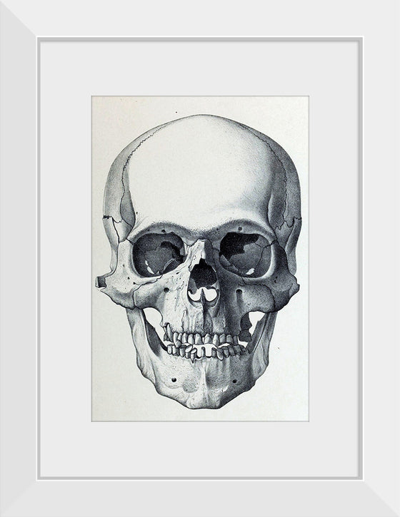 "Vintage Old Skull", Martina Stokow