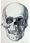 "Vintage Old Skull", Martina Stokow