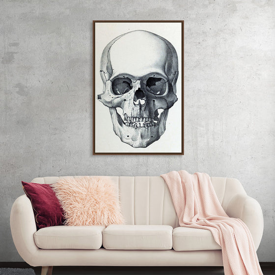 "Vintage Old Skull", Martina Stokow