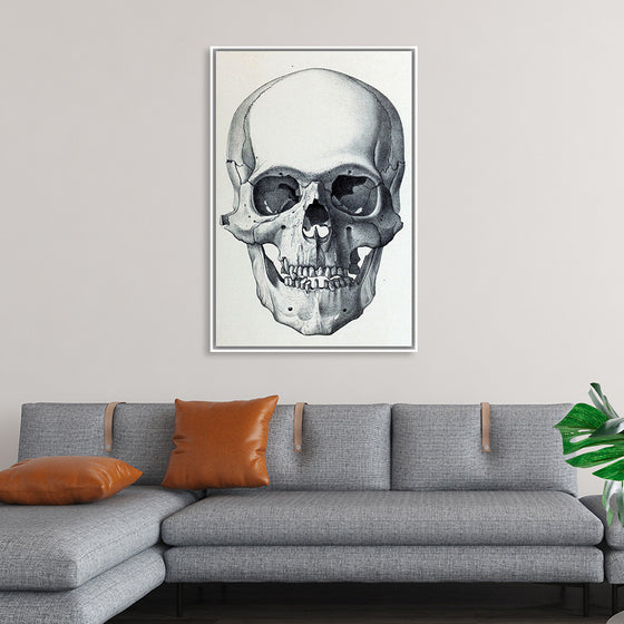 "Vintage Old Skull", Martina Stokow