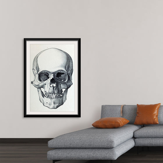 "Vintage Old Skull", Martina Stokow