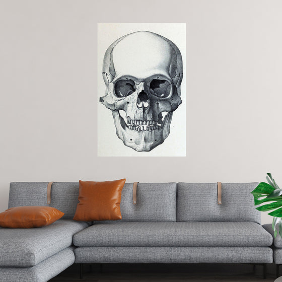 "Vintage Old Skull", Martina Stokow