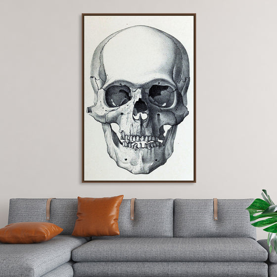 "Vintage Old Skull", Martina Stokow