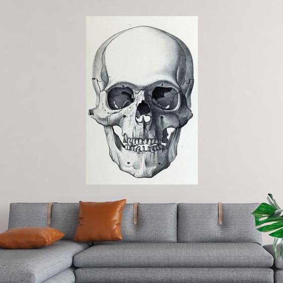 "Vintage Old Skull", Martina Stokow