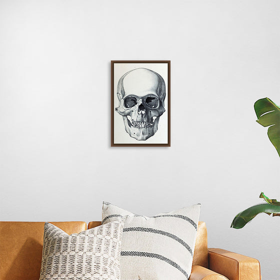 "Vintage Old Skull", Martina Stokow