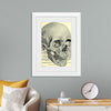 "Skull Human Anatomy Vintage"