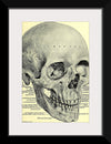 "Skull Human Anatomy Vintage"