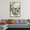 "Skull Human Anatomy Vintage"