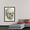 "Skull Human Anatomy Vintage"