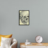 "Skull Human Anatomy Vintage"