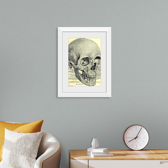 "Skull Human Anatomy Vintage"