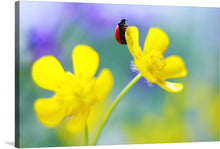  “Ranunculus Acris” by Elena Andreeva is a stunning artwork that captures the beauty of nature in its purest form. The bright yellow petals of the Ranunculus Acris flowers are the centerpiece of this piece, with every detail rendered with meticulous precision.