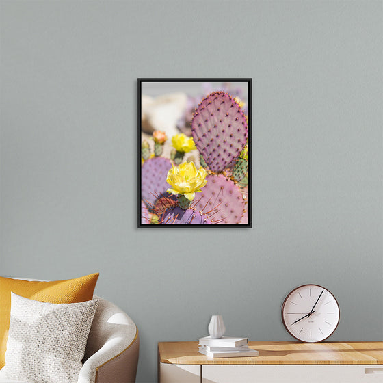 "Dollarjoint Prickly Pear Cactus Flower"