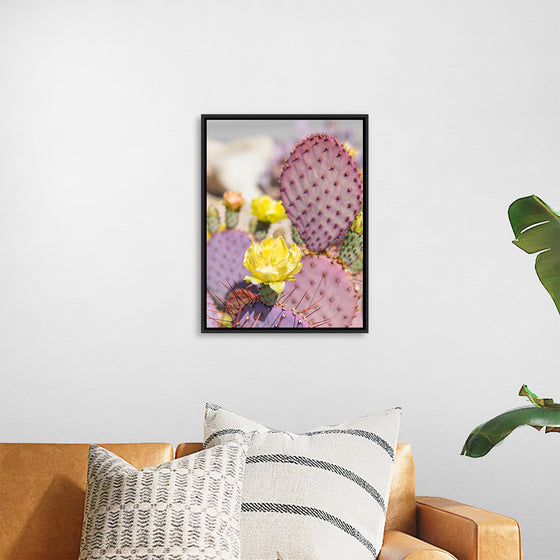 "Dollarjoint Prickly Pear Cactus Flower"