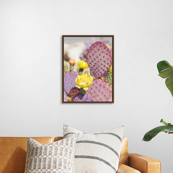 "Dollarjoint Prickly Pear Cactus Flower"